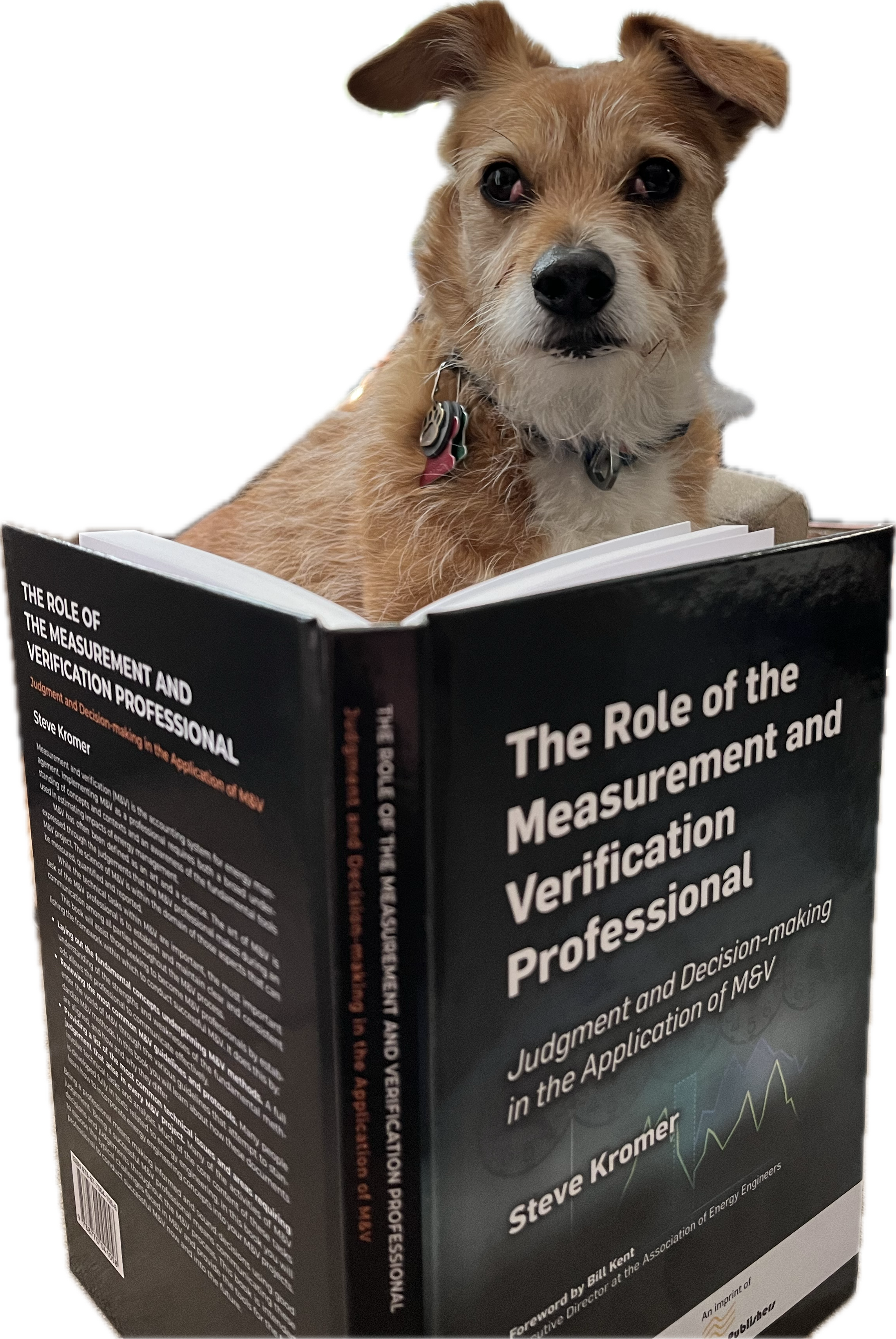 M&V Expert Analysis
